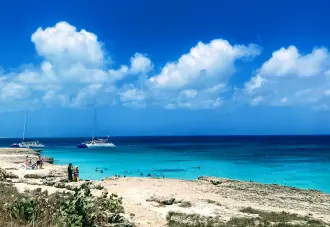 Afternoon Sail, Snorkel & Swim!