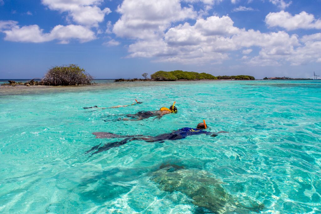 Aquatic & Water Excursions