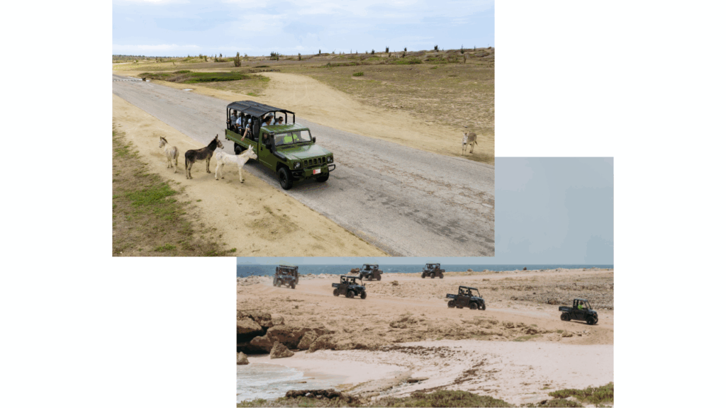 UTV & Jeep Island Adventure Mix-Up
