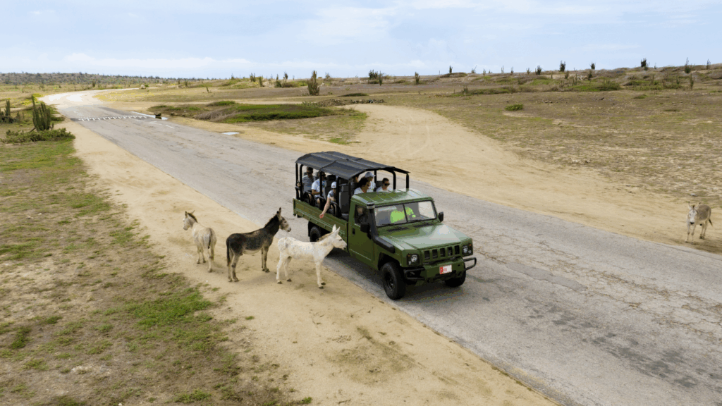 UTV & Jeep Island Adventure Mix-Up