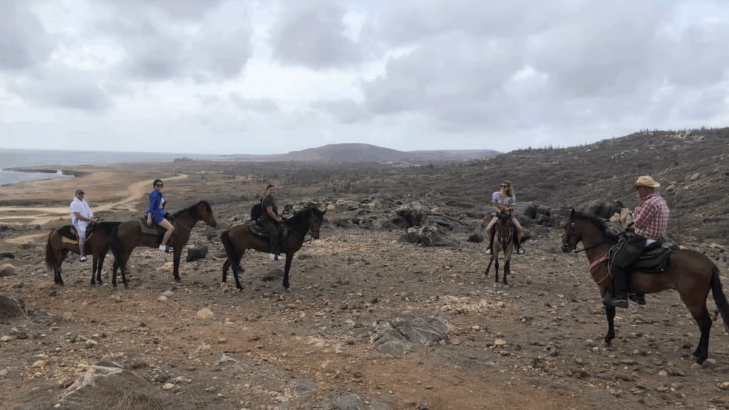 Wariruri Ride Horseback Riding