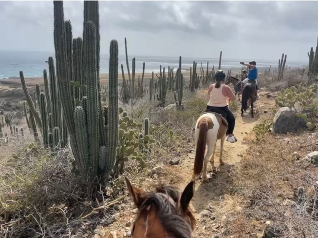 Amazing Natural Pool Horseback Riding
